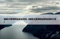 雄县大营镇网站建设招标（雄县大营镇网站建设招标公告）
