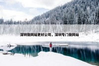 深圳做网站更好公司，深圳专门做网站