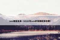 seo展望未来（2020年seo的发展前景在哪）