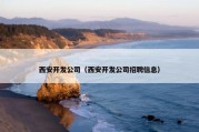 西安开发公司（西安开发公司招聘信息）