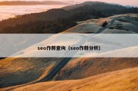 seo作弊查询（seo作弊分析）