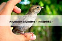 网站建设自助建站快速优化？ 网络自助建站？