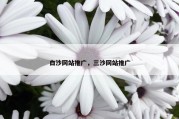 白沙网站推广，三沙网站推广