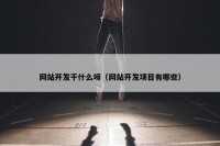 网站开发干什么呀（网站开发项目有哪些）