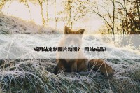 成网站定制图片动漫？ 网站成品？