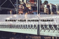 新沂网站推广代理品牌（新沂网站推广代理品牌电话）