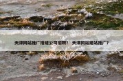 天津网站推广搭建公司招聘？ 天津网站建站推广？