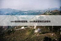 seo培训教程营销，seo网络营销实战培训