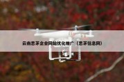 云南思茅企业网站优化推广（思茅信息网）