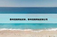 泰州招商网站定制，泰州招商网站定制公司
