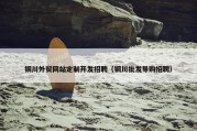 铜川外贸网站定制开发招聘（铜川批发导购招聘）