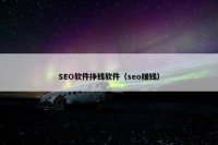 SEO软件挣钱软件（seo赚钱）