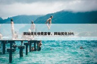 网站优化收费套餐，网站优化30t