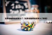 文教设施网站定制入门（文教设施网站定制入门教程）