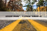 业务在哪个网站推广，什么网站推广效果会好一点