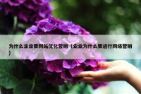 为什么企业要网站优化营销（企业为什么要进行网络营销）
