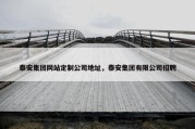 泰安集团网站定制公司地址，泰安集团有限公司招聘