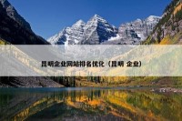 昆明企业网站排名优化（昆明 企业）