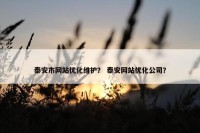 泰安市网站优化维护？ 泰安网站优化公司？
