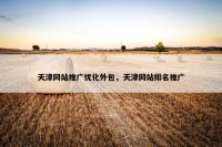天津网站推广优化外包，天津网站排名推广