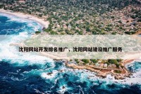 沈阳网站开发排名推广，沈阳网站建设推广服务
