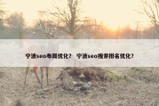宁波seo布局优化？ 宁波seo搜索排名优化？