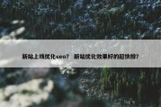新站上线优化seo？ 新站优化效果好的超快排？