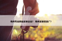 梅州专业网站定制企业？ 梅州定制家具厂？