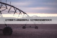 辽宁男同个人网站定制中心（辽宁同志交友群号多少）