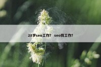 28岁seo工作？ seo找工作？