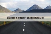 武汉网站开发收费公司？ 武汉做网站建设公司？