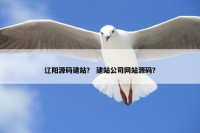 辽阳源码建站？ 建站公司网站源码？