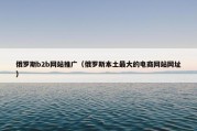 俄罗斯b2b网站推广（俄罗斯本土最大的电商网站网址）