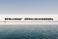 俄罗斯b2b网站推广（俄罗斯本土最大的电商网站网址）
