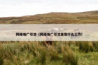 网络推广引流（网络推广引流是做什么工作）