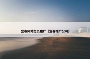 宜春网站怎么推广（宜春推广公司）
