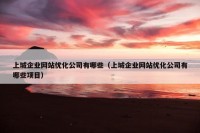 上城企业网站优化公司有哪些（上城企业网站优化公司有哪些项目）