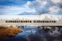 武汉网站建设方案详细方案（武汉网站建设解决方案）