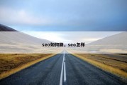 seo如何刷，seo怎样