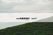 seo效果真好吗？ seo?？
