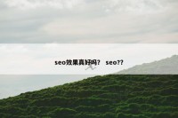 seo效果真好吗？ seo?？