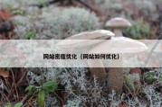 网站密度优化（网站如何优化）