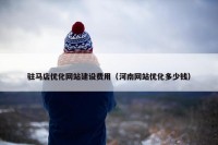 驻马店优化网站建设费用（河南网站优化多少钱）