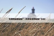 天津网站建站推广（天津企业网站推广方法）