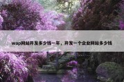 wap网站开发多少钱一年，开发一个企业网站多少钱