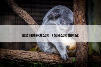 家装网站开发公司（装修公司做网站）