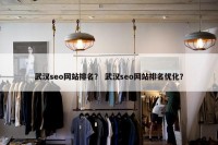 武汉seo网站排名？ 武汉seo网站排名优化？