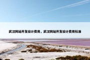 武汉网站开发设计费用，武汉网站开发设计费用标准