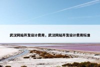 武汉网站开发设计费用，武汉网站开发设计费用标准
