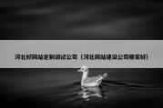 河北好网站定制调试公司（河北网站建设公司哪家好）